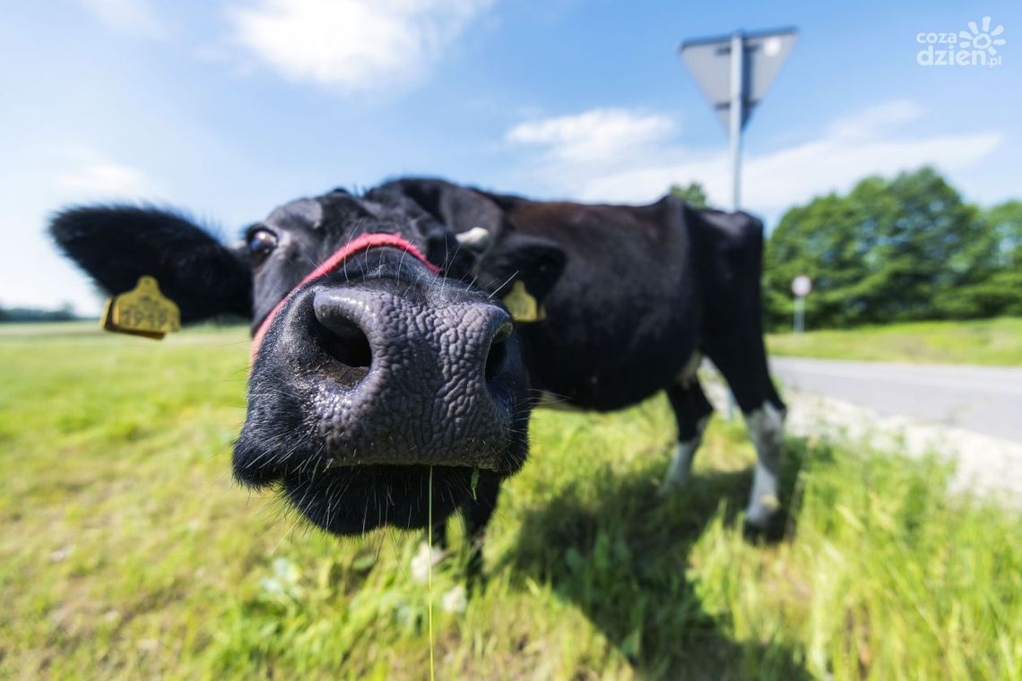 Zobaczcie najciekawsze zdjęcia czerwca!