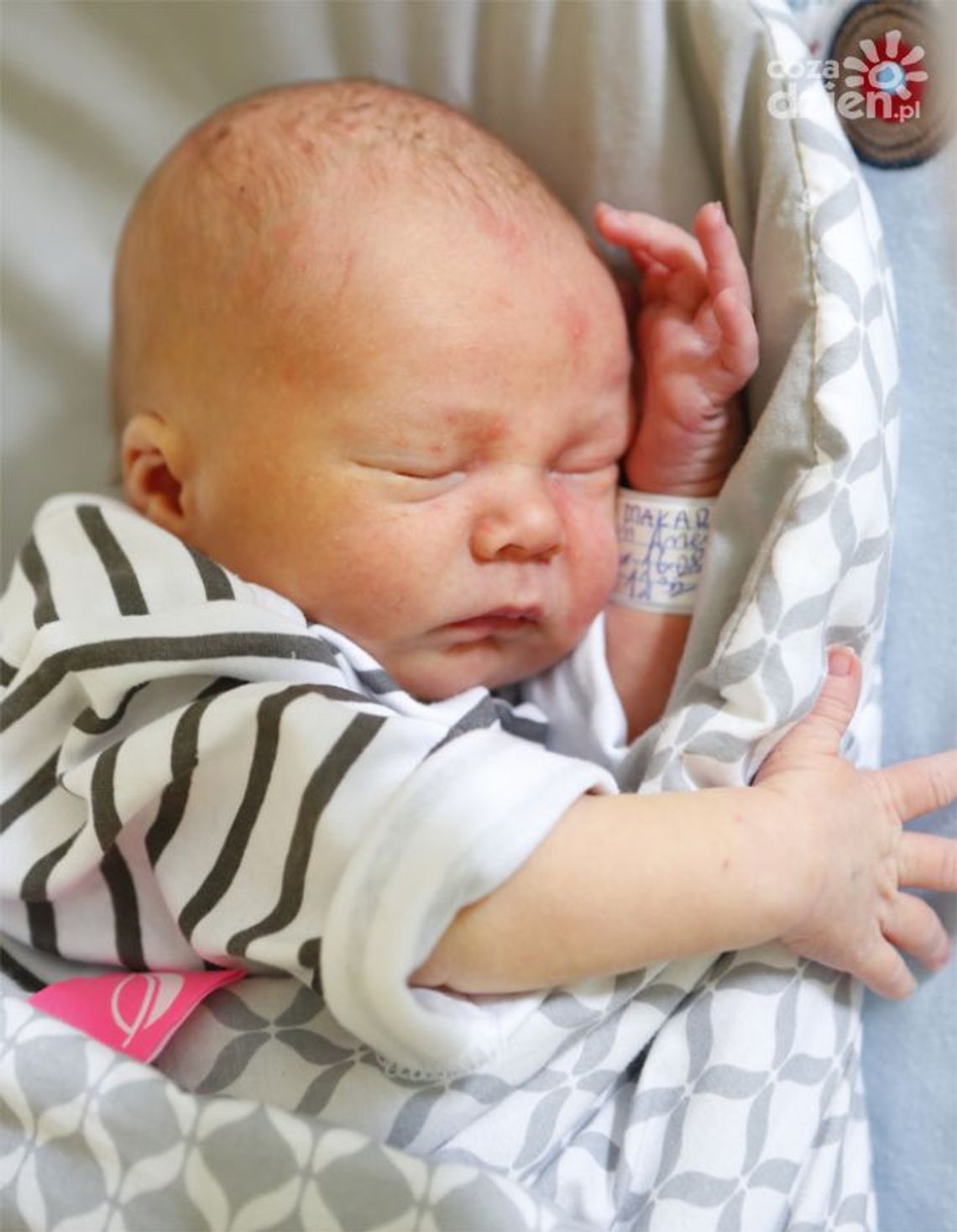 Zobaczcie najmłodszych radomian Zobaczcie najmłodszych radomian