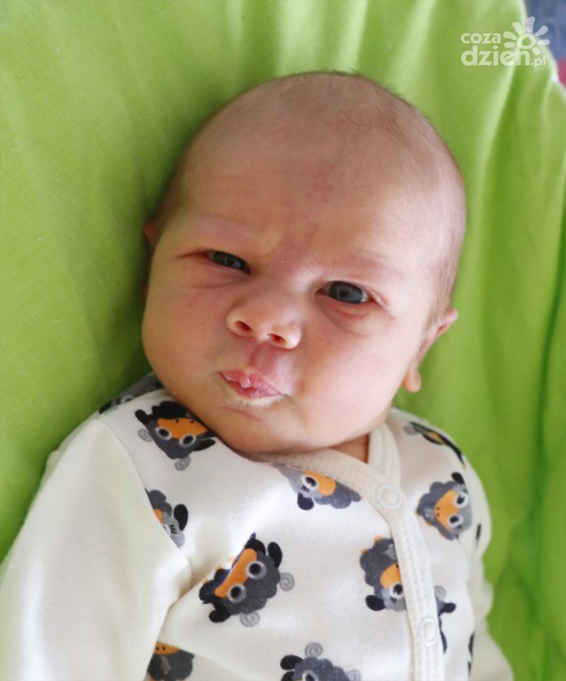 Zobaczcie zdjęcia najmłodszych radomian Zobaczcie zdjęcia najmłodszych radomian