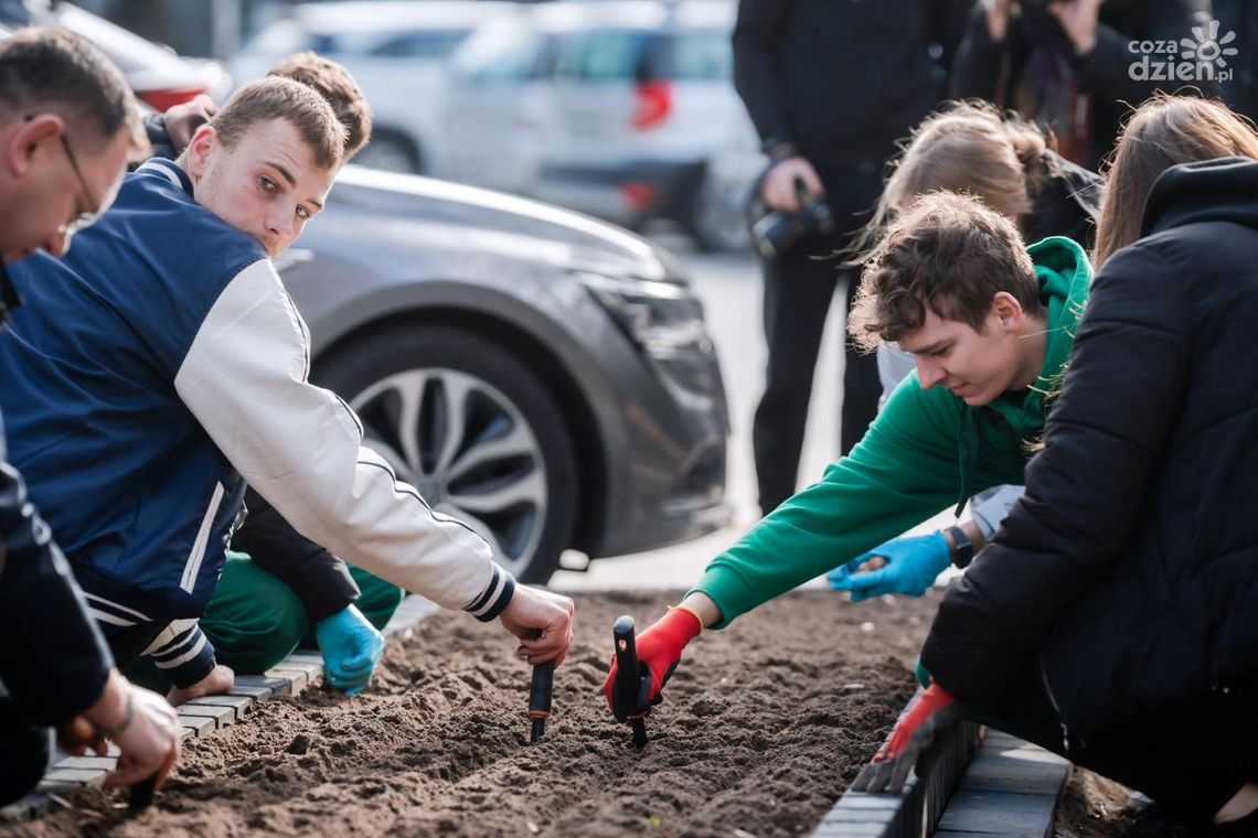Żółty kolorem nadziei