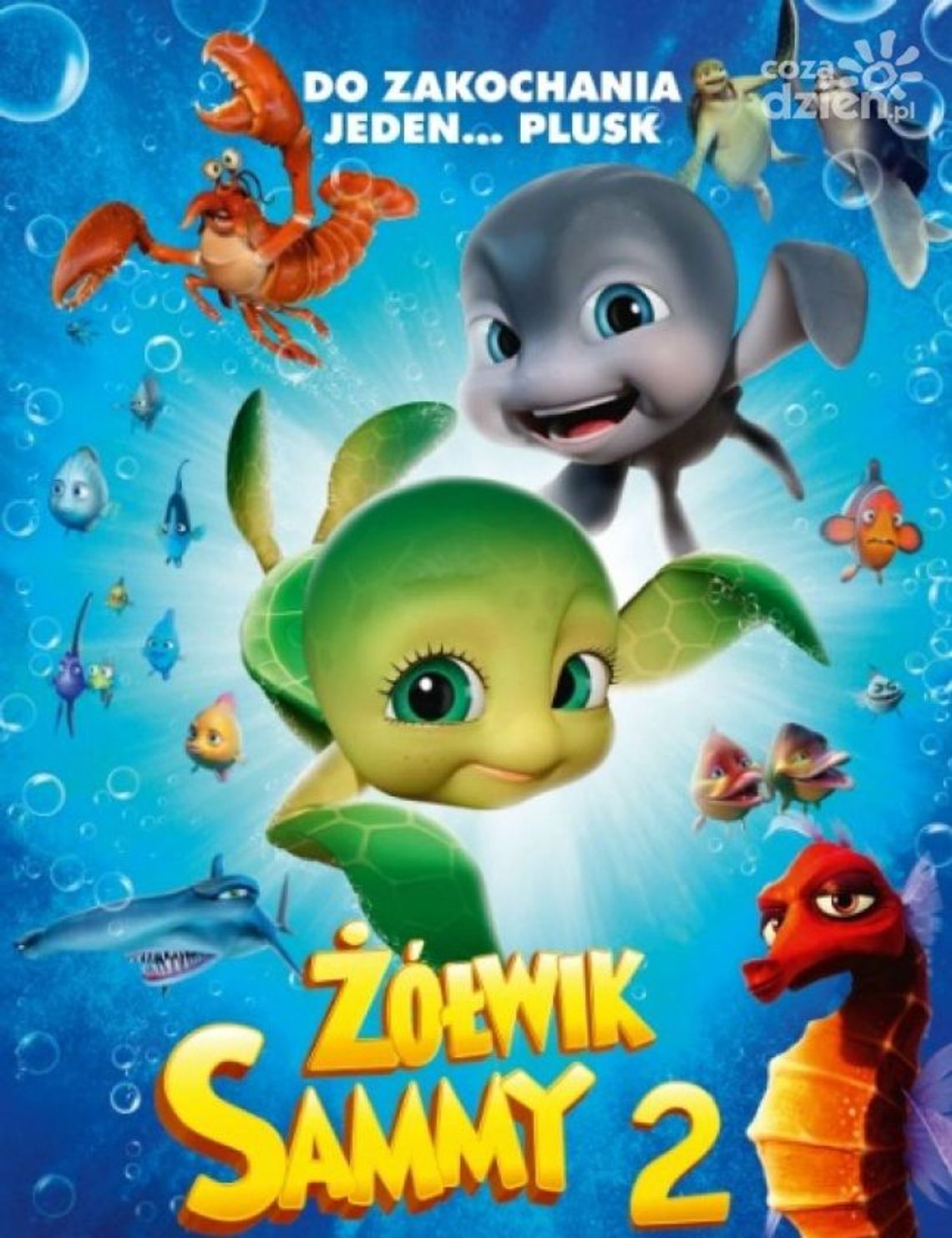 Żółwik Sammy 2