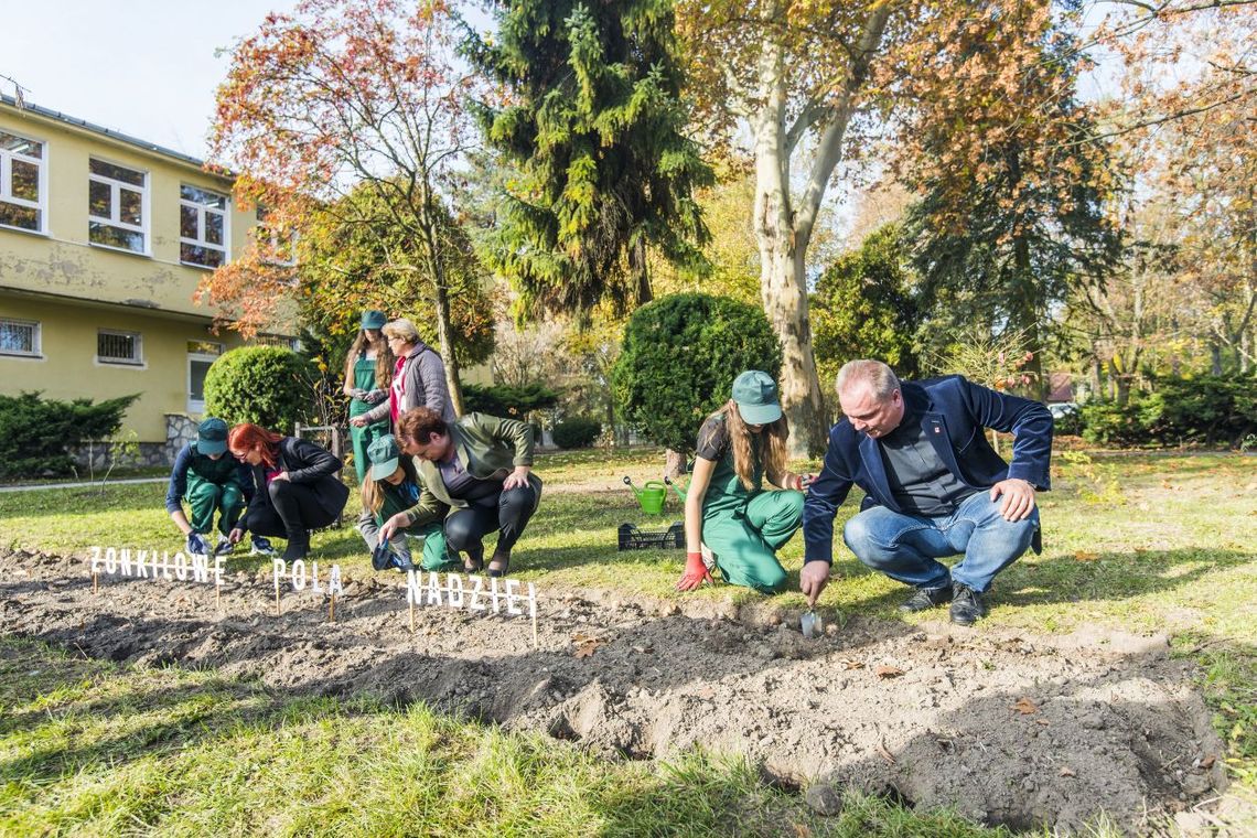 Żonkilowe Pola Nadziei 