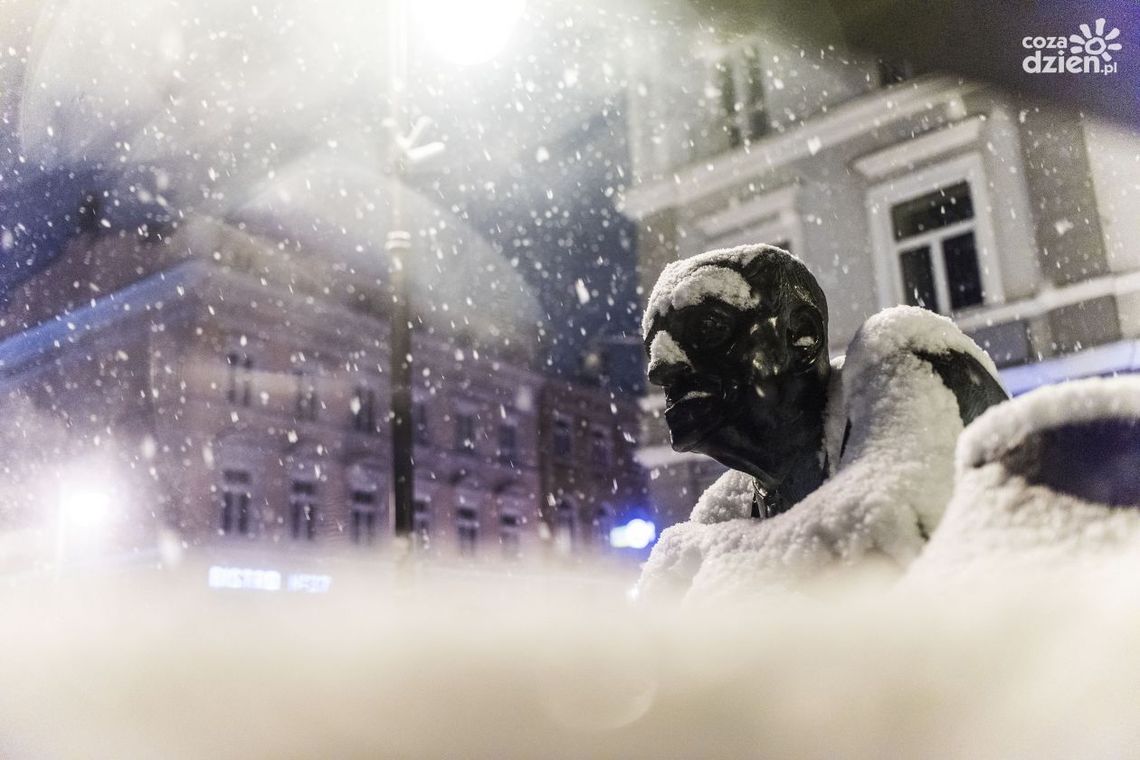 Zrobiło się biało. Tylko na chwilę? Zobacz wyjątkowe zdjęcia