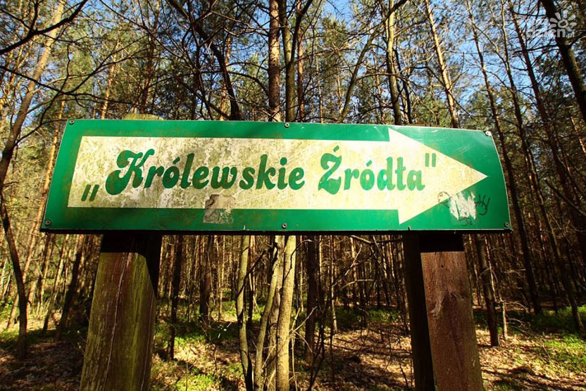 Źródła królewskie - idź w ślady Jagiełły