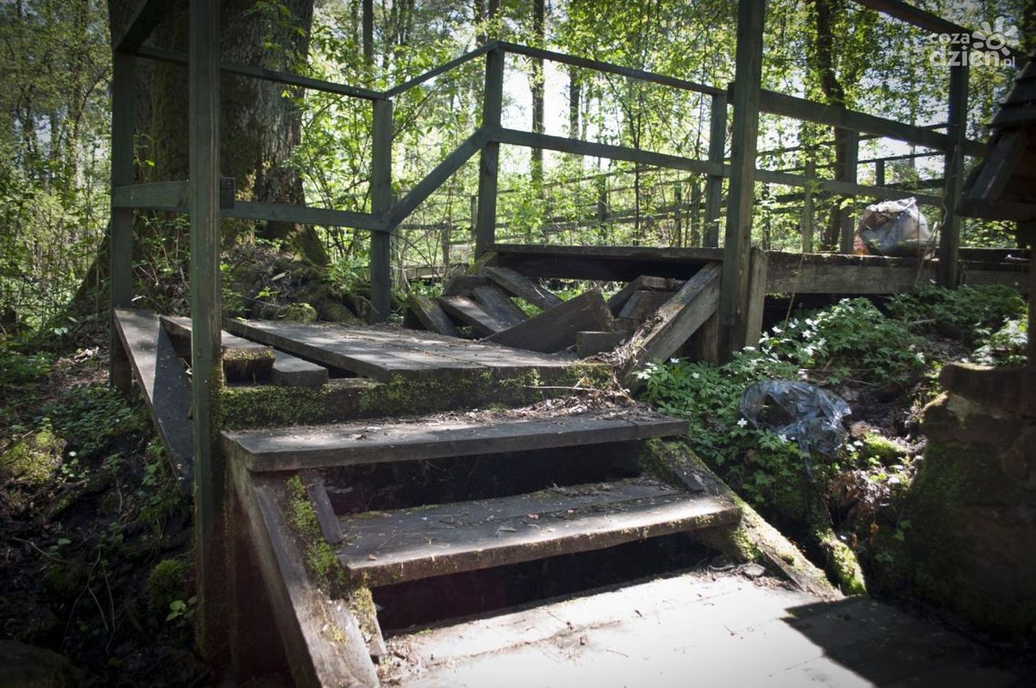 Źródło św. Jana - czy warto tu przyjechać? Źródło św. Jana - czy warto tu przyjechać?