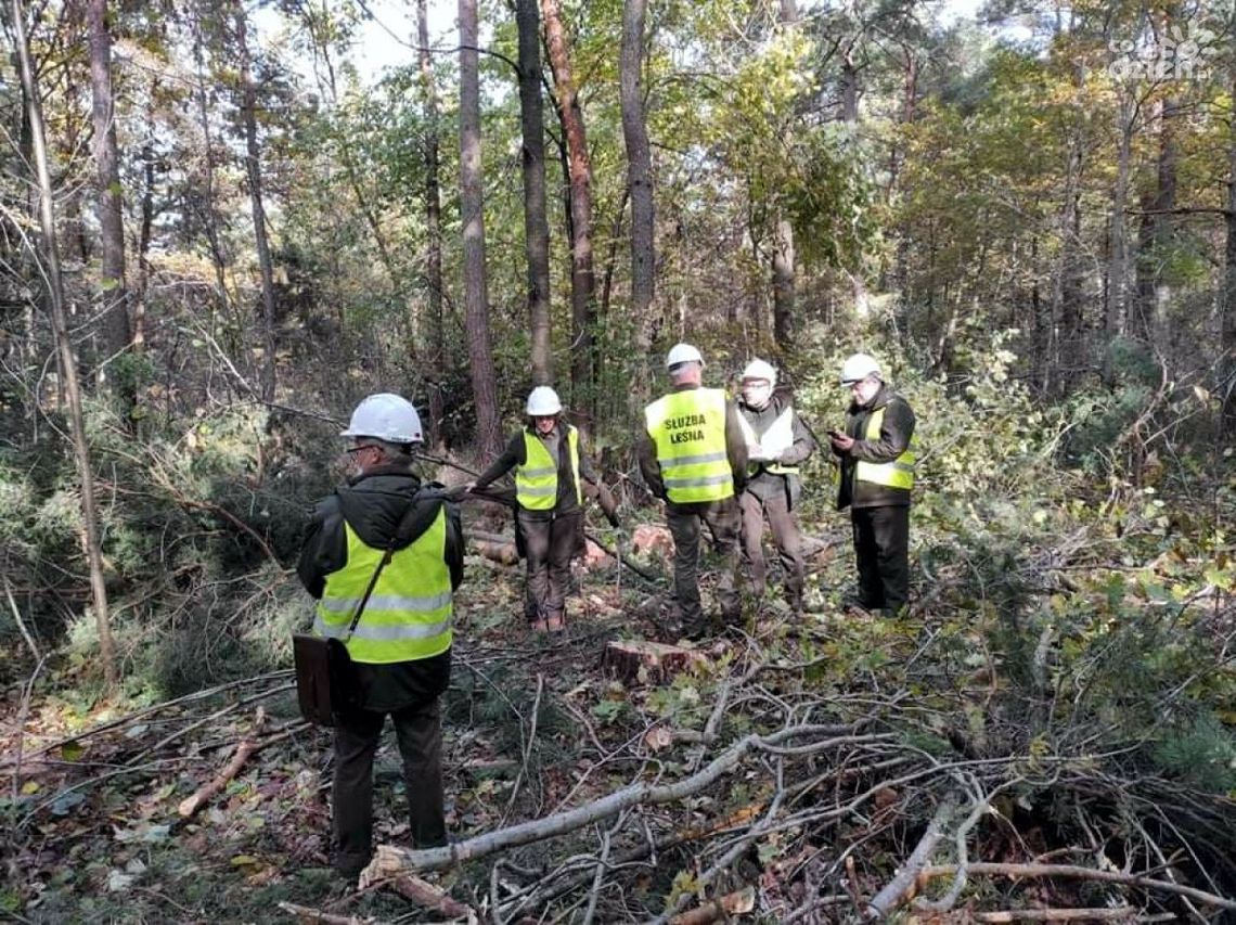 Zrównoważona gospodarka nadleśnictwa Zrównoważona gospodarka nadleśnictwa