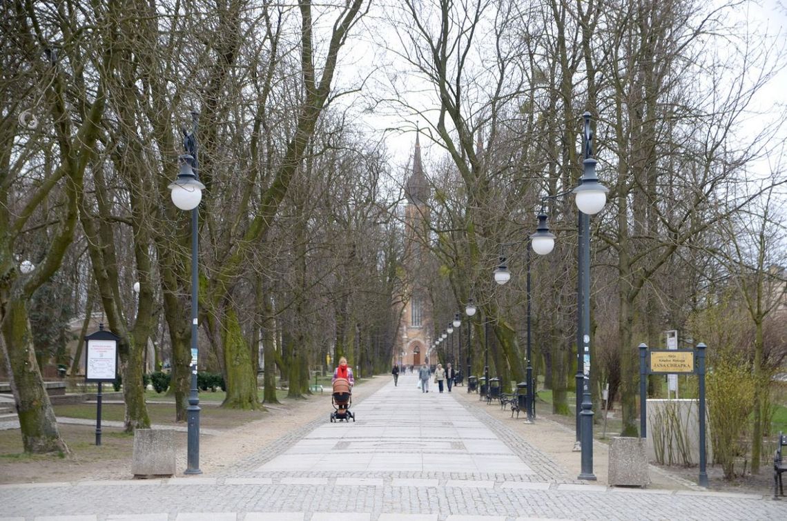 Zrzucają ptasie gniazda. Zmnijeszy to smród?