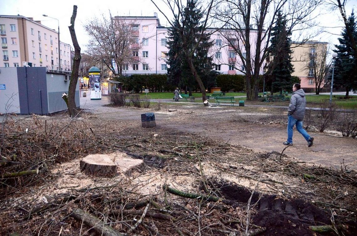 ZUK prowadzi wycinkę na skwerze przy dworcu PKP