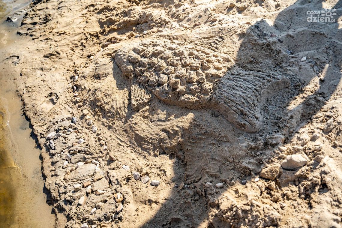 ZUS. Wciąż można wykorzystać bon turystyczny