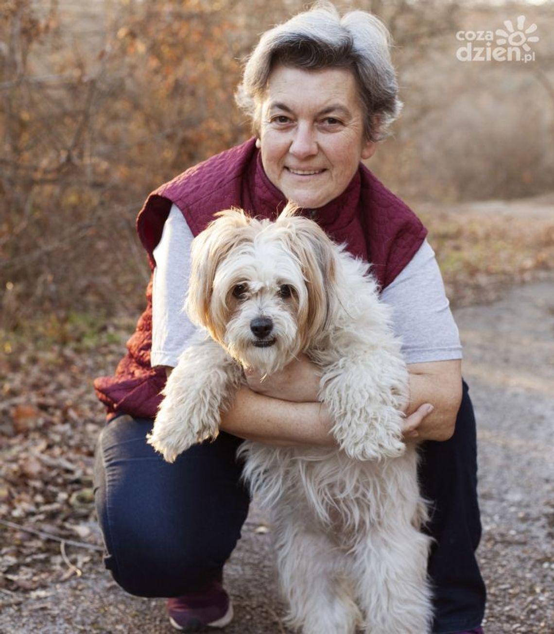 Zwierzę bez domu, jak możemy pomóc? Zwierzę bez domu, jak możemy pomóc?