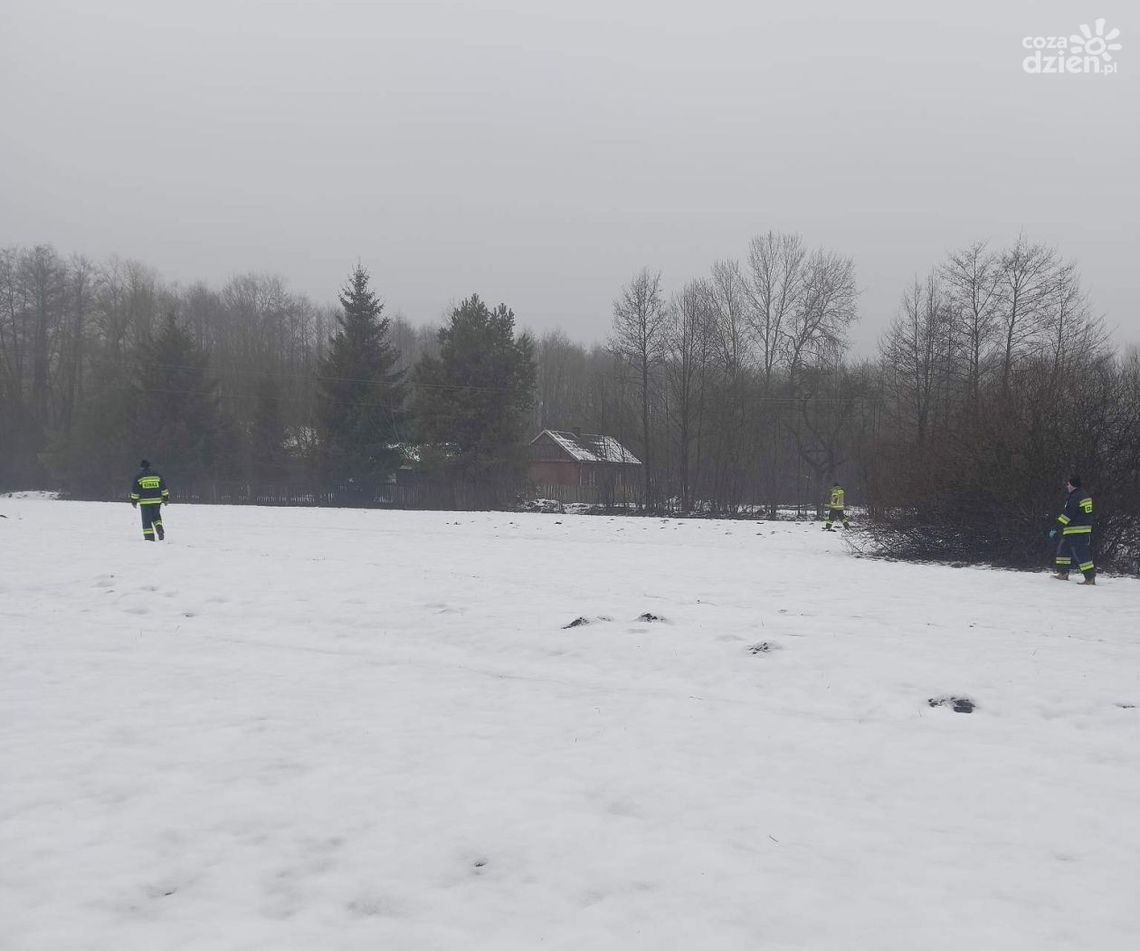 Zwłoki kobiety znalezione na polu. Co się stało?