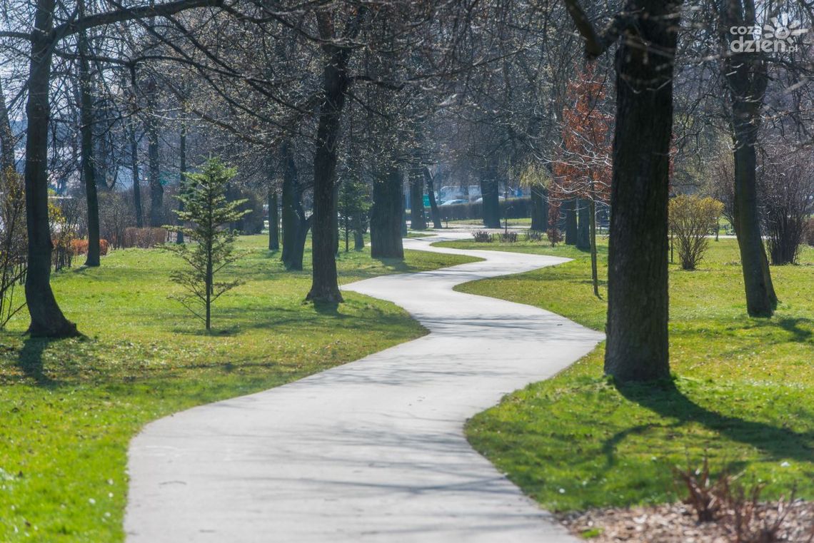 Zwłoki w parku. Denat był pod wpływem alkoholu 