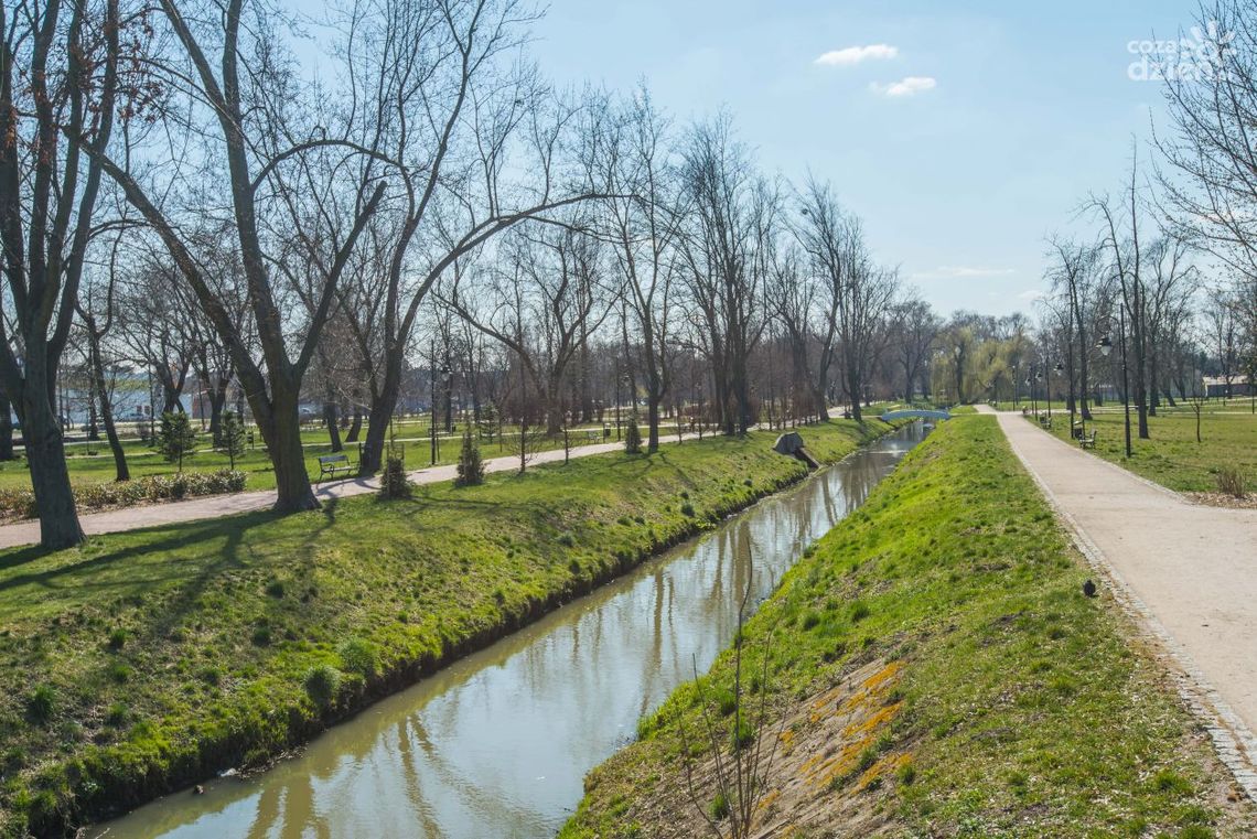 Zwłoki w Starym Ogrodzie. Są wyniki sekcji Zwłoki w Starym Ogrodzie. Są wyniki sekcji