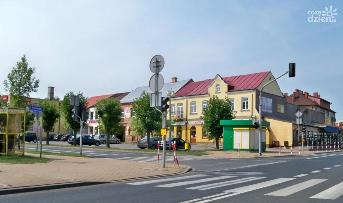 Zwoleń niezłomny Zwoleń niezłomny