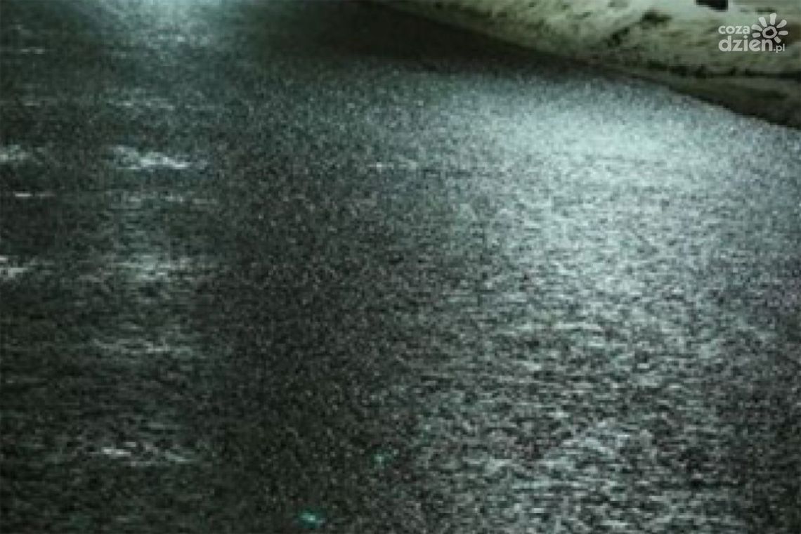 Zwoleń. Uwaga! Możliwe oblodzenie Zwoleń. Uwaga! Możliwe oblodzenie