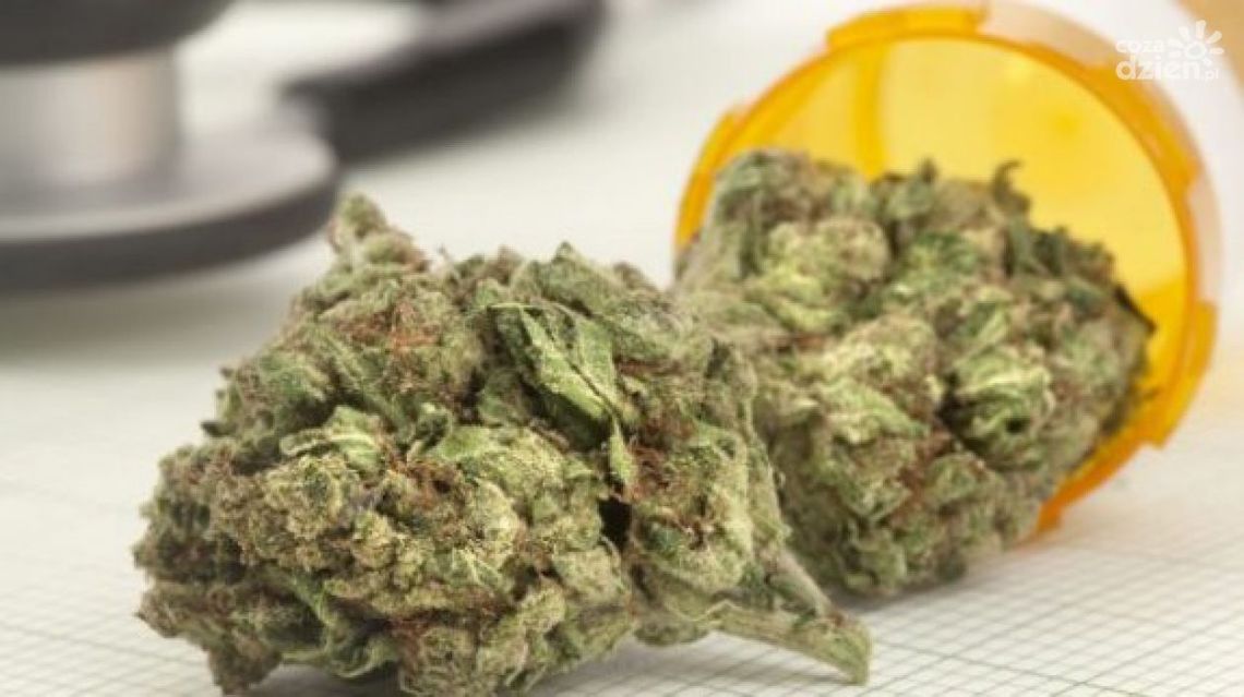 Zwoleń. Zatrzymania za narkotyki Zwoleń. Zatrzymania za narkotyki