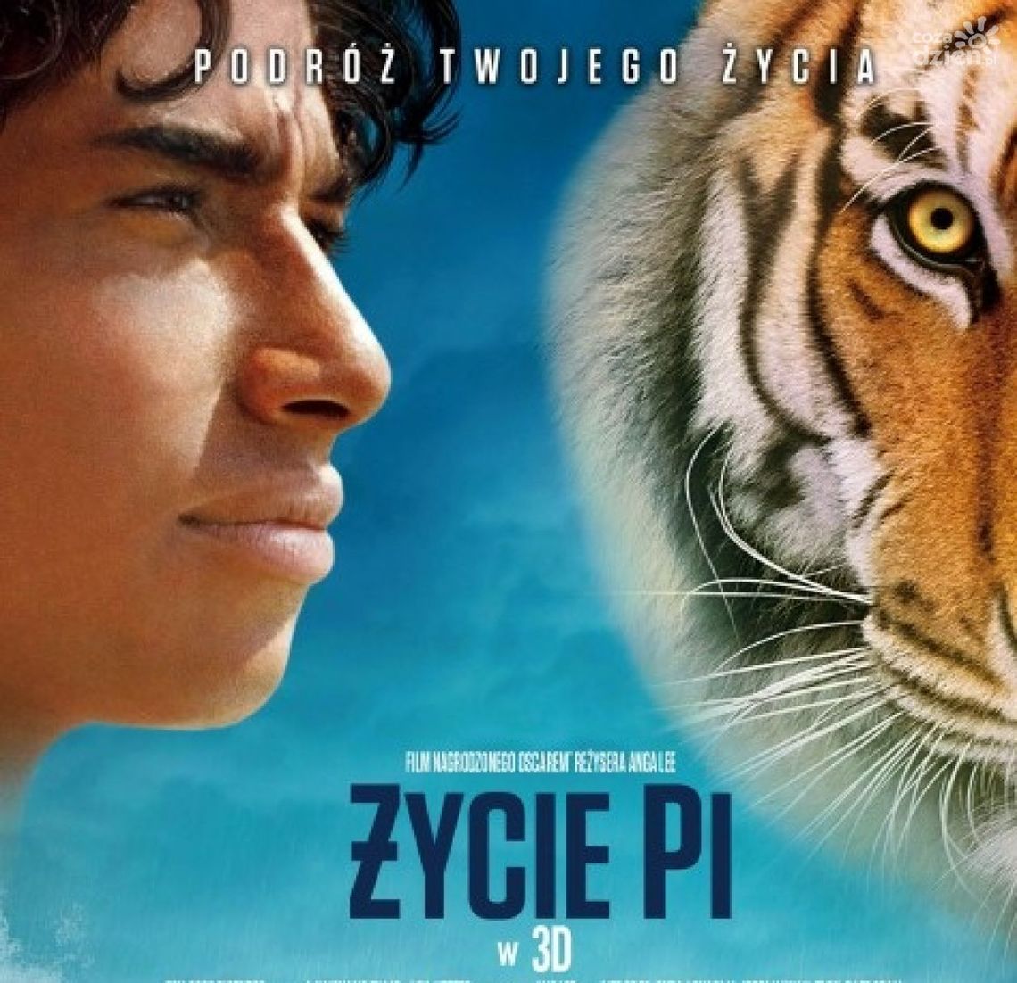 Życie Pi Życie Pi