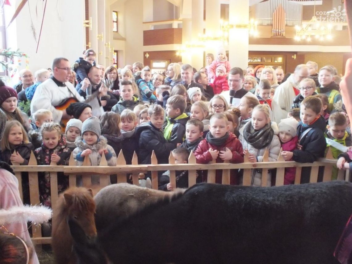 Żywa szopka w Radomiu (Zdjęcia)