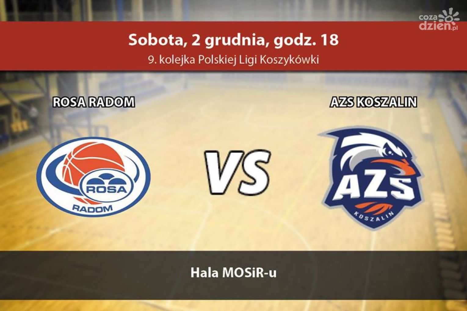 ROSA Radom - AZS Koszalin (relacja LIVE)