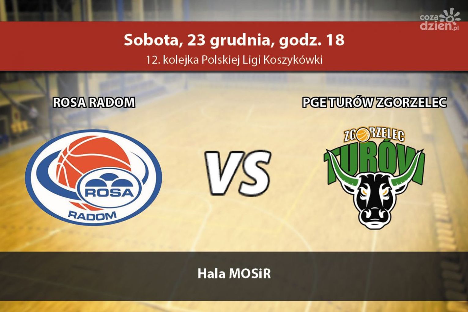 ROSA Radom - PGE Turów Zgorzelec (relacja LIVE) ROSA Radom - PGE Turów Zgorzelec (relacja LIVE)