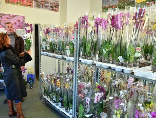 Kwiaty na Dzień Kobiet Kwiaty na Dzień Kobiet