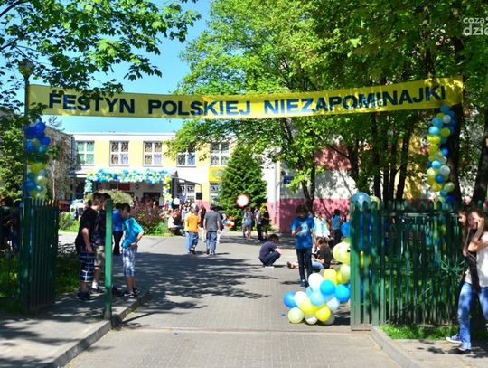 Festyn Polskiej Niezapominajki w PG13