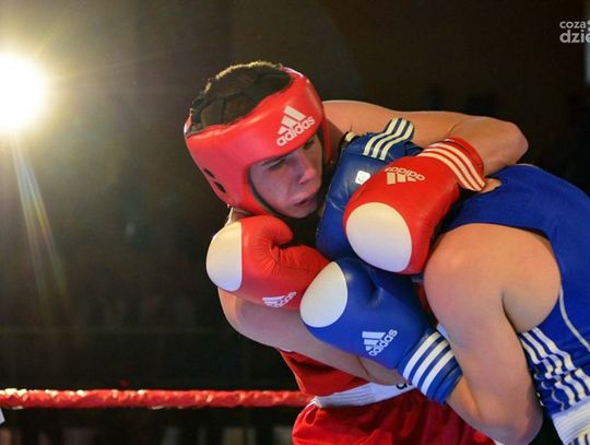 Gala boksu amatorskiego cz.2 - relacja foto na żywo