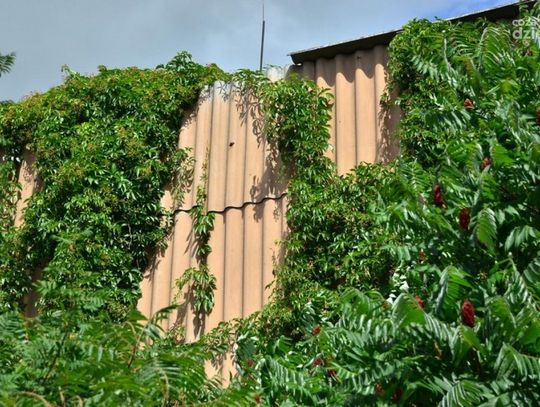 Kotłownia - Wacyn Kotłownia - Wacyn