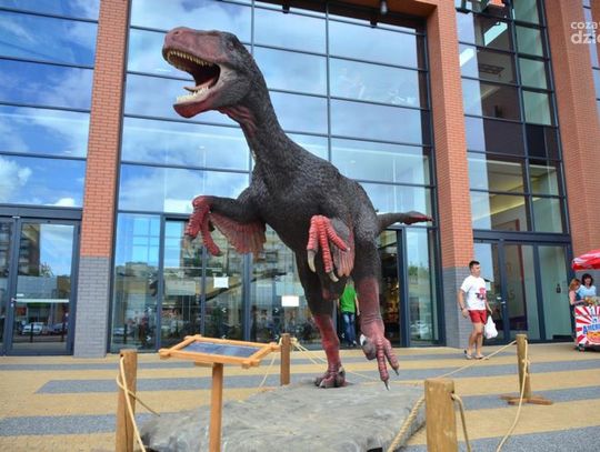 Wystawa dinozaurów w Galerii Słonecznej Wystawa dinozaurów w Galerii Słonecznej