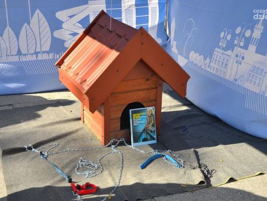 Niedziela na czterech łapach