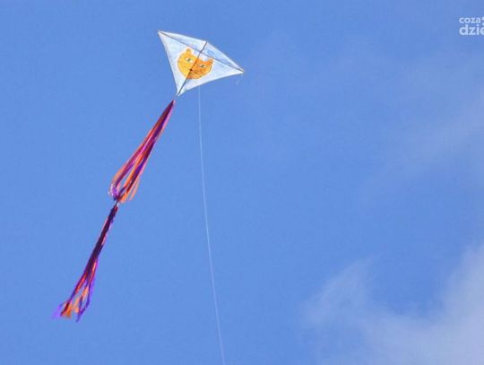 Zawody Latawcowe - Lotnisko Piastów Zawody Latawcowe - Lotnisko Piastów