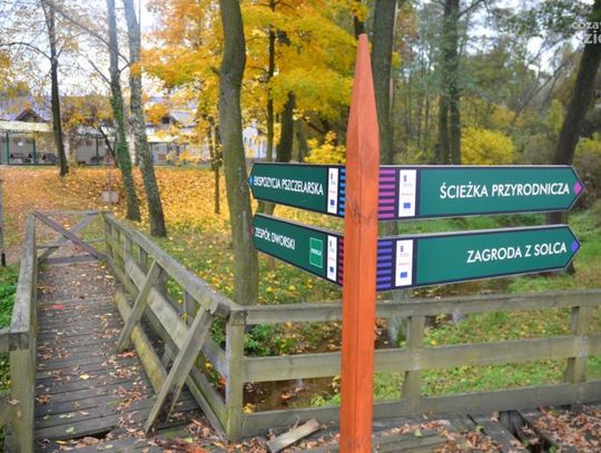 Prace budowlane w Muzeum Wsi Radomskiej