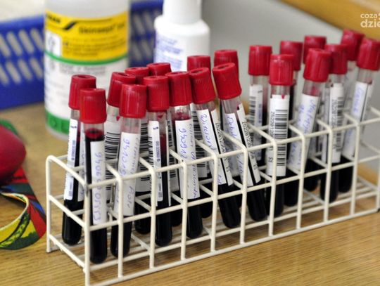 "Oddaj krew za Ojczyznę!" - akcja w liceum im. J. Kochanowskiego "Oddaj krew za Ojczyznę!" - akcja w liceum im. J. Kochanowskiego