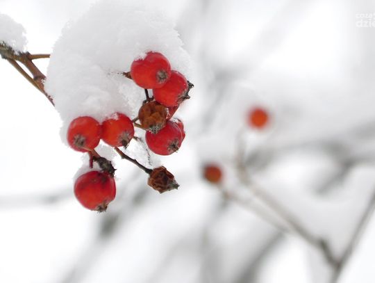 Zima w Radomiu