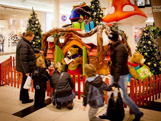 Galeria Słoneczna na święta