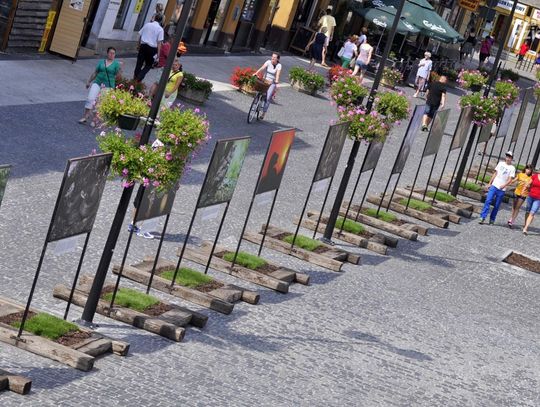 Wystawa "Zwierzpospolita Polska" na deptaku Wystawa "Zwierzpospolita Polska" na deptaku