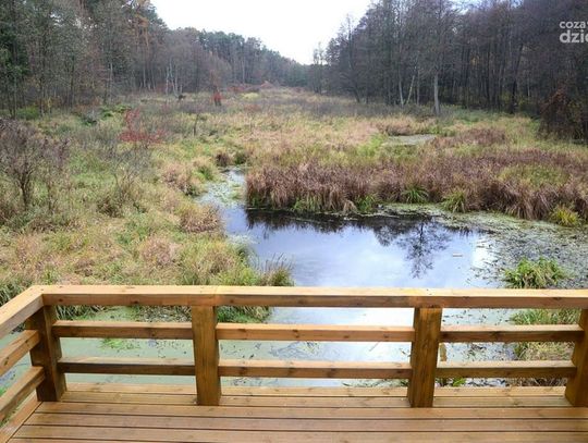 Królewskie Źródła po remoncie Królewskie Źródła po remoncie