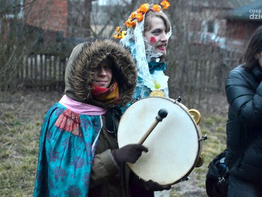 Kusaki w Przystałowicach Małych