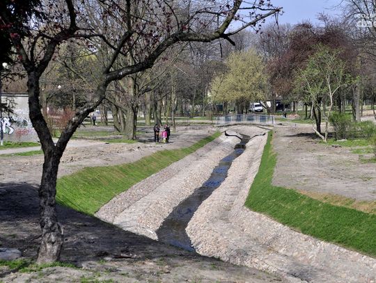 Rewitalizacja parku Leśniczówka