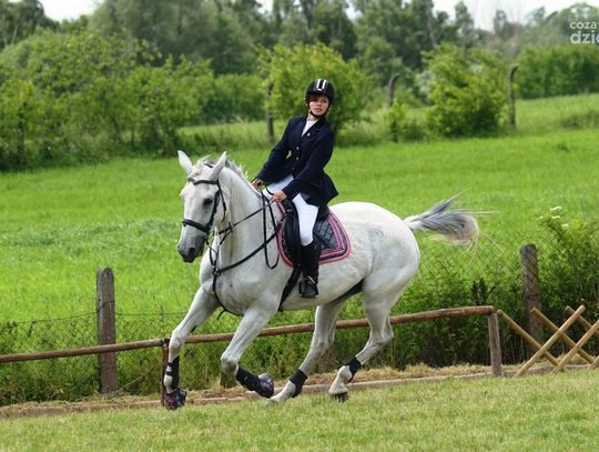 XIX Zawody w skokach przez przeszkody