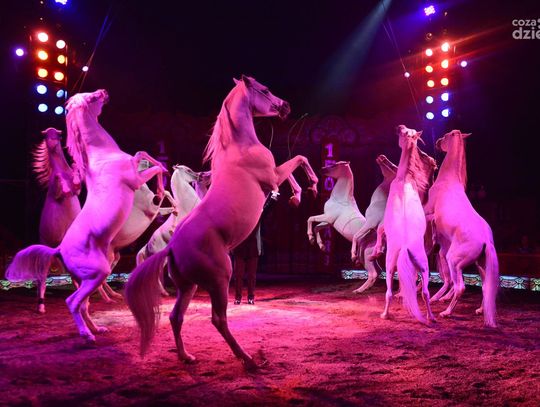 Cyrk Medrano w Radomiu