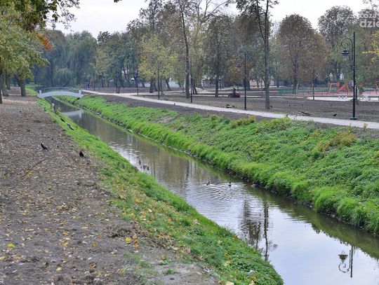 Rewitalizacja Starego Ogrodu