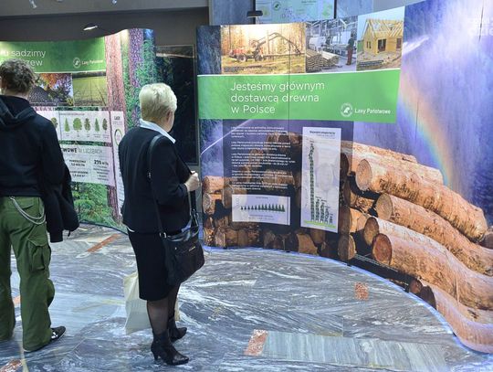 90 lat Lasów Państwowych 90 lat Lasów Państwowych