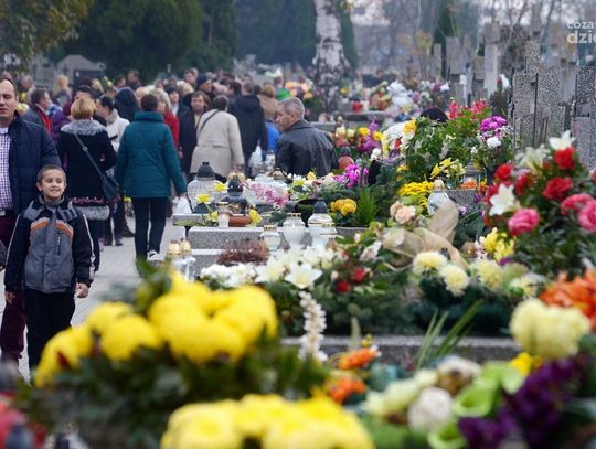Dzień Wszystkich Świętych na cmentarzu przy ul. Limanowskiego Dzień Wszystkich Świętych na cmentarzu przy ul. Limanowskiego
