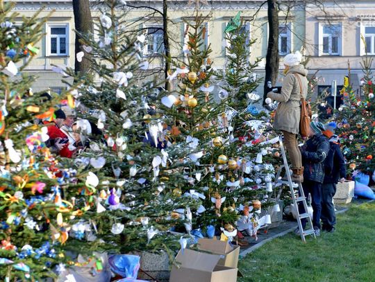 Konkurs na najładniejszą choinkę