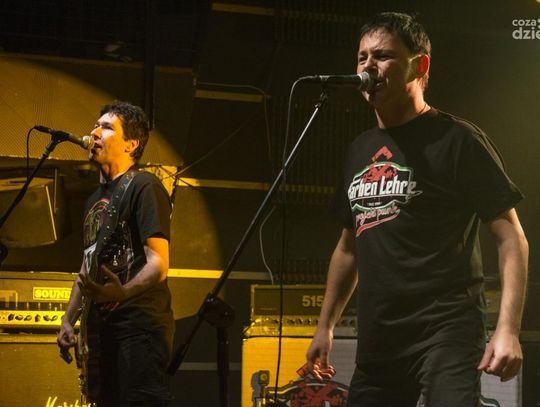 Farben Lehre i The Analogs w Strefie G2