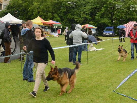 XXXII Krajowa Radomska Wystawa Psów Rasowych
