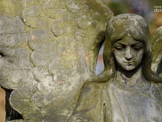 Cmentarz rzymskokatolicki przy ul. Limanowskiego Cmentarz rzymskokatolicki przy ul. Limanowskiego