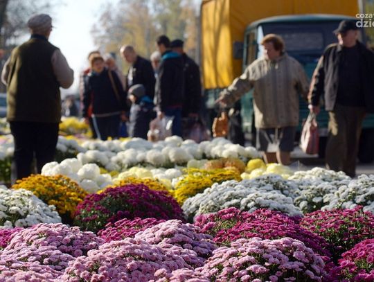 Dzień Wszystkich Świętych Dzień Wszystkich Świętych