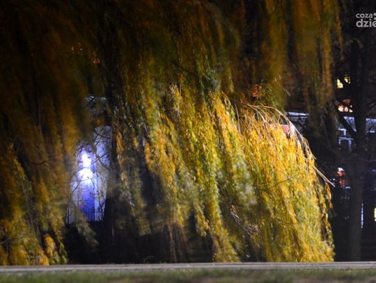 Jesienna noc w Radomiu